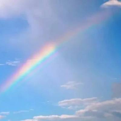 必一体育官方下载入口